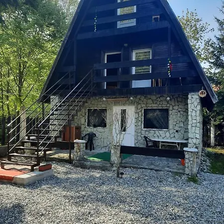 Cabanuta Dan & Alex Villa Cîrţişoara Exterior foto