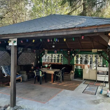 Cabanuta Dan & Alex Villa Cîrţişoara Exterior foto