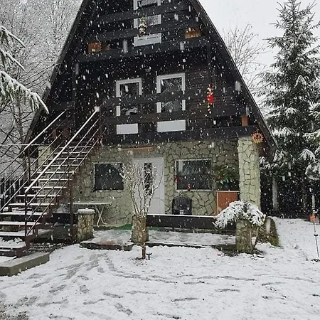 Cabanuta Dan & Alex Villa Cîrţişoara Exterior foto