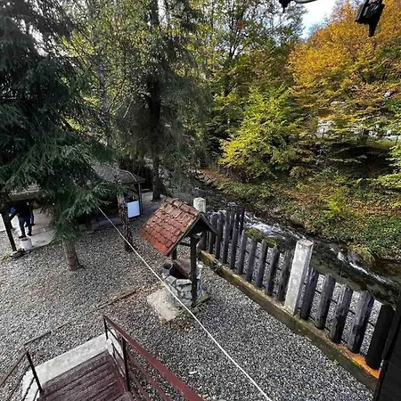 Cabanuta Dan & Alex Villa Cîrţişoara Exterior foto