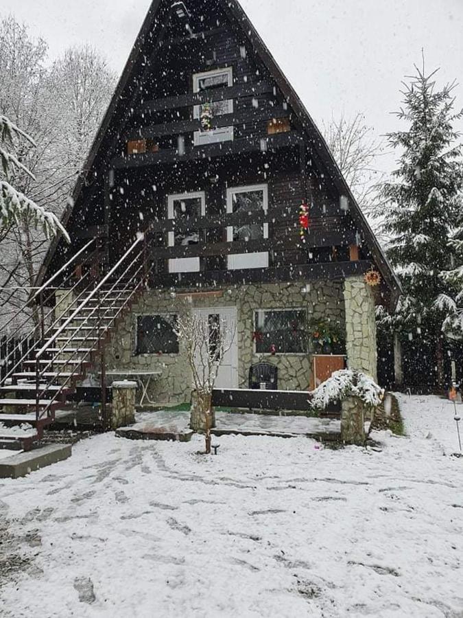 Cabanuta Dan & Alex Holiday home Cartisoara